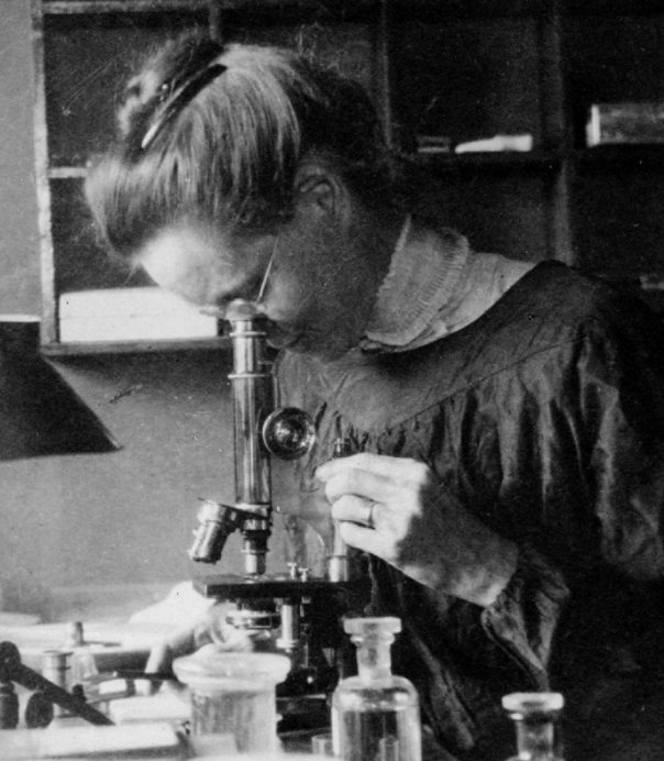 Nettie Stevens: Discovering Sex&nbsp;Chromosomes