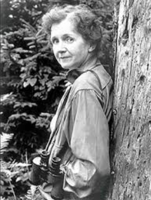 Rachel Carson: Pioneer of Environmental Awareness – Her Stem Space