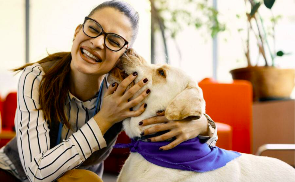 Paws, Popcorn, and Placebos: The Unusual Tools of Modern&nbsp;Medicine